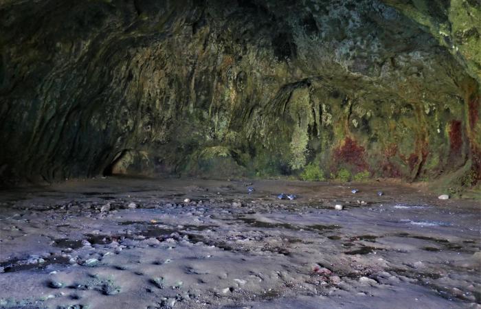 Wogan Cavern